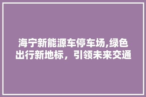 海宁新能源车停车场,绿色出行新地标，引领未来交通潮流