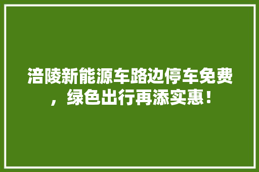 涪陵新能源车路边停车免费，绿色出行再添实惠！