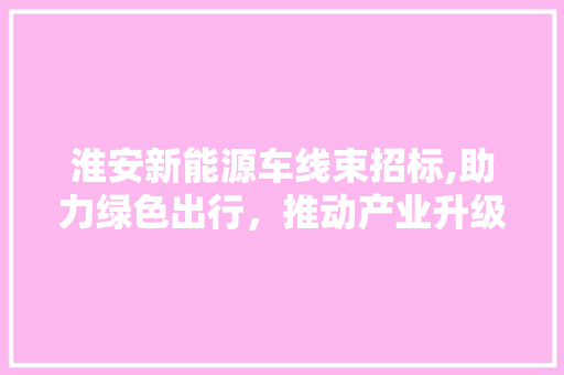 淮安新能源车线束招标,助力绿色出行，推动产业升级