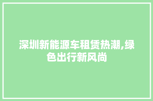 深圳新能源车租赁热潮,绿色出行新风尚