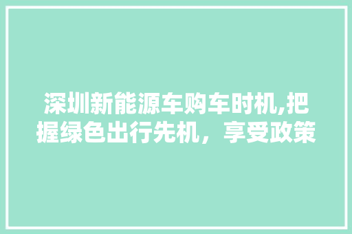 深圳新能源车购车时机,把握绿色出行先机，享受政策红利