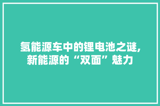 氢能源车中的锂电池之谜,新能源的“双面”魅力