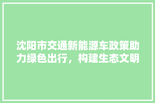 沈阳市交通新能源车政策助力绿色出行，构建生态文明新格局