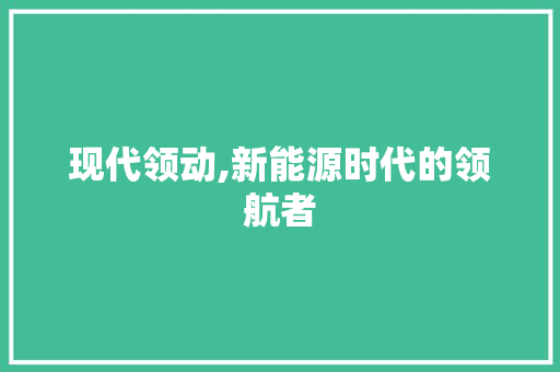 现代领动,新能源时代的领航者