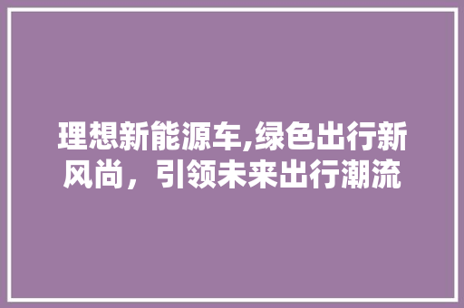 理想新能源车,绿色出行新风尚，引领未来出行潮流