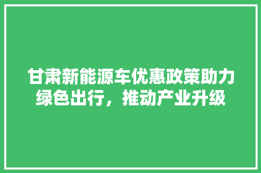 甘肃新能源车优惠政策助力绿色出行，推动产业升级