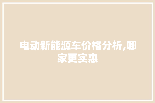 电动新能源车价格分析,哪家更实惠