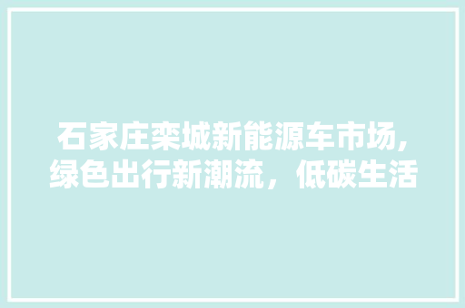 石家庄栾城新能源车市场,绿色出行新潮流，低碳生活新选择