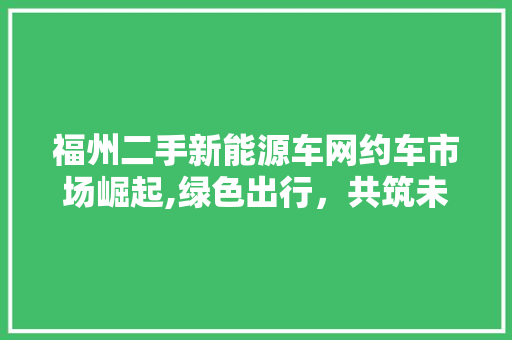 福州二手新能源车网约车市场崛起,绿色出行，共筑未来