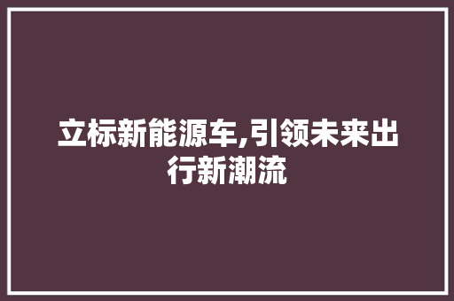 立标新能源车,引领未来出行新潮流