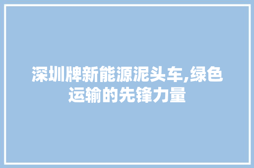 深圳牌新能源泥头车,绿色运输的先锋力量