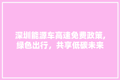 深圳能源车高速免费政策,绿色出行，共享低碳未来