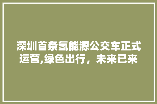 深圳首条氢能源公交车正式运营,绿色出行，未来已来
