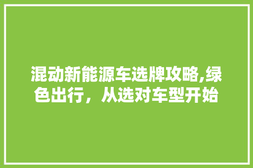 混动新能源车选牌攻略,绿色出行，从选对车型开始