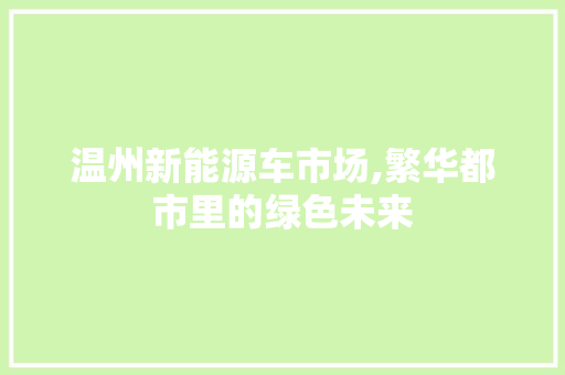 温州新能源车市场,繁华都市里的绿色未来