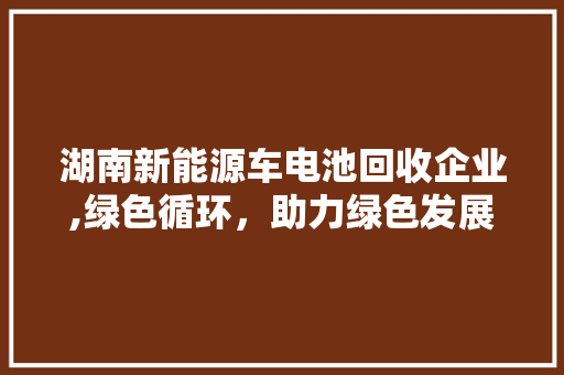 湖南新能源车电池回收企业,绿色循环，助力绿色发展