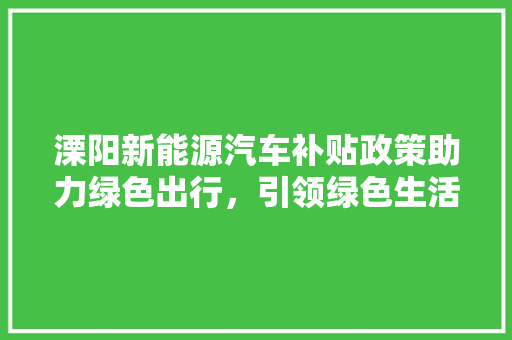 溧阳新能源汽车补贴政策助力绿色出行，引领绿色生活新风尚