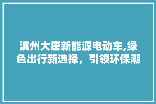 滨州大唐新能源电动车,绿色出行新选择，引领环保潮流