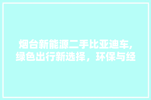 烟台新能源二手比亚迪车,绿色出行新选择，环保与经济的完美融合