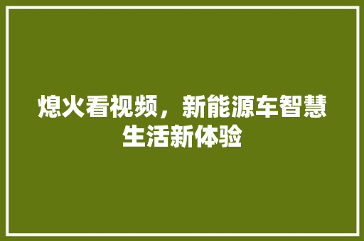 熄火看视频，新能源车智慧生活新体验