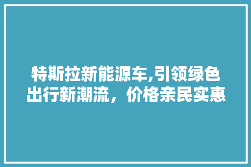特斯拉新能源车,引领绿色出行新潮流，价格亲民实惠