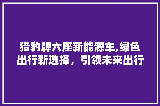 猎豹牌六座新能源车,绿色出行新选择，引领未来出行潮流