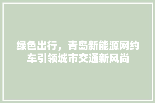 绿色出行，青岛新能源网约车引领城市交通新风尚