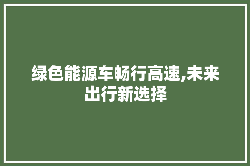 绿色能源车畅行高速,未来出行新选择