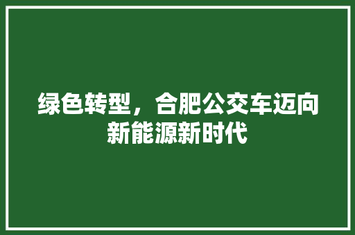 绿色转型，合肥公交车迈向新能源新时代