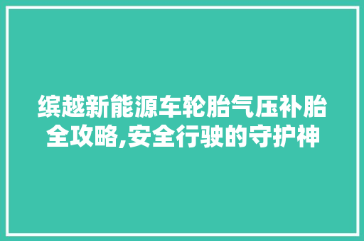 缤越新能源车轮胎气压补胎全攻略,安全行驶的守护神