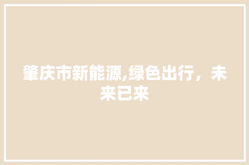 肇庆市新能源,绿色出行，未来已来