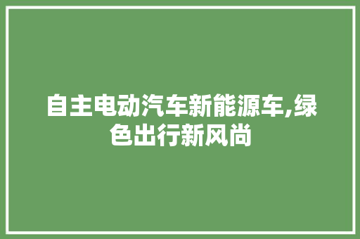 自主电动汽车新能源车,绿色出行新风尚