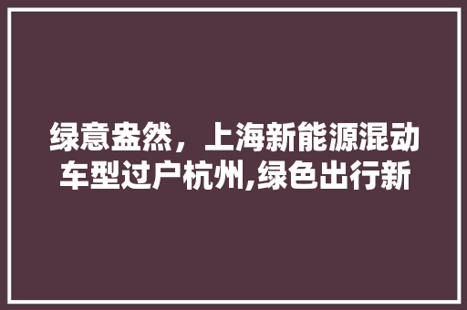 绿意盎然，上海新能源混动车型过户杭州,绿色出行新篇章