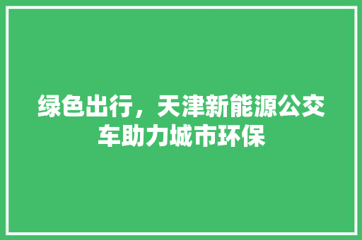 绿色出行，天津新能源公交车助力城市环保