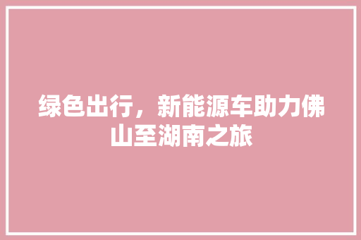 绿色出行，新能源车助力佛山至湖南之旅