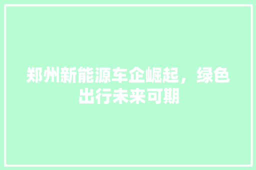 郑州新能源车企崛起，绿色出行未来可期