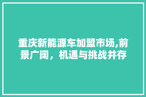 重庆新能源车加盟市场,前景广阔，机遇与挑战并存