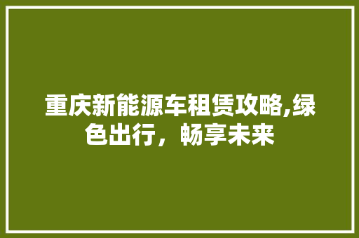 重庆新能源车租赁攻略,绿色出行，畅享未来