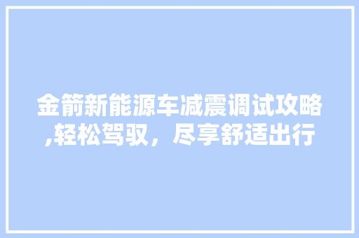 金箭新能源车减震调试攻略,轻松驾驭，尽享舒适出行