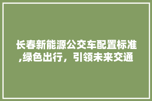 长春新能源公交车配置标准,绿色出行，引领未来交通新风尚