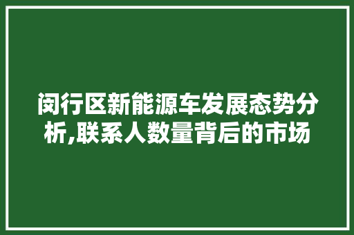 闵行区新能源车发展态势分析,联系人数量背后的市场潜力