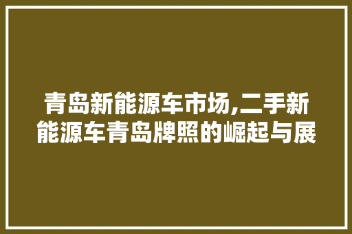 青岛新能源车市场,二手新能源车青岛牌照的崛起与展望