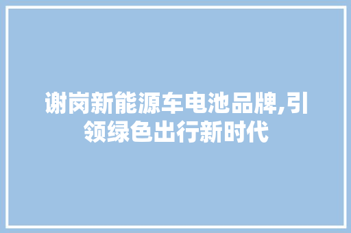 谢岗新能源车电池品牌,引领绿色出行新时代