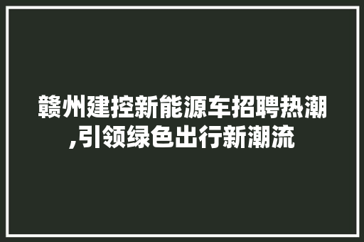 赣州建控新能源车招聘热潮,引领绿色出行新潮流
