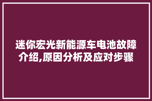 迷你宏光新能源车电池故障介绍,原因分析及应对步骤