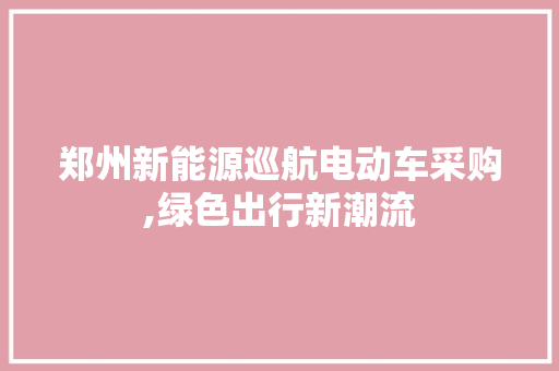 郑州新能源巡航电动车采购,绿色出行新潮流