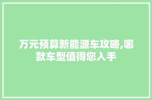 万元预算新能源车攻略,哪款车型值得您入手