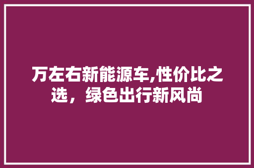 万左右新能源车,性价比之选，绿色出行新风尚