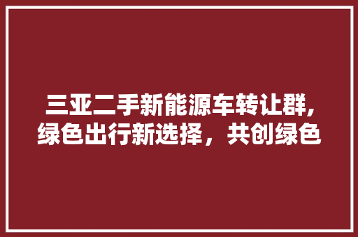 三亚二手新能源车转让群,绿色出行新选择，共创绿色未来 自动驾驶