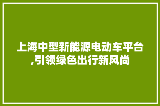 上海中型新能源电动车平台,引领绿色出行新风尚 自动驾驶